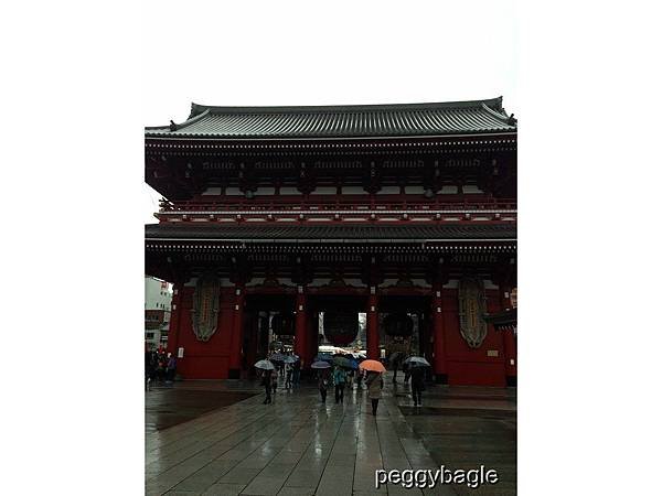 PhotoCap_081