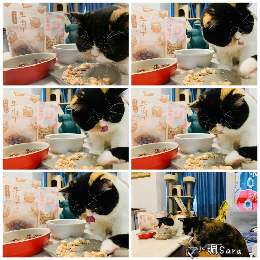貓侍零食_201218_3.jpg