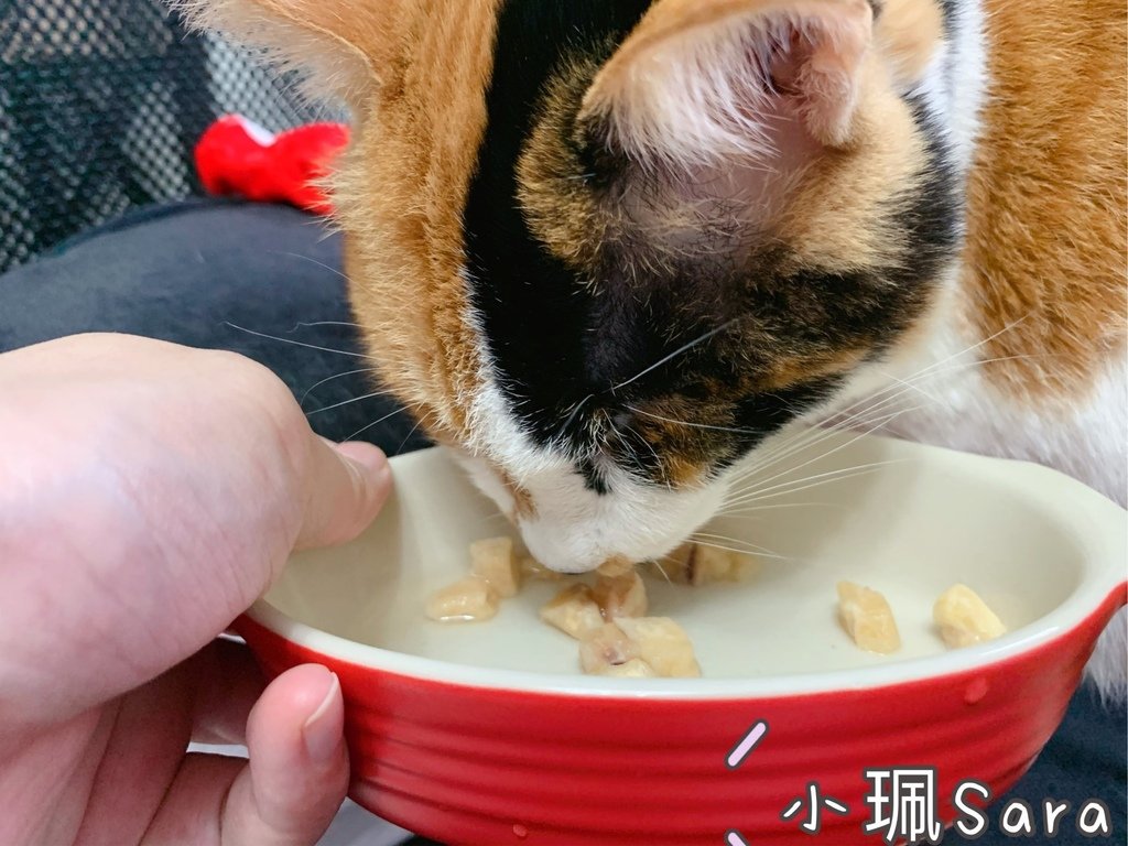 貓侍零食_201218_12.jpg