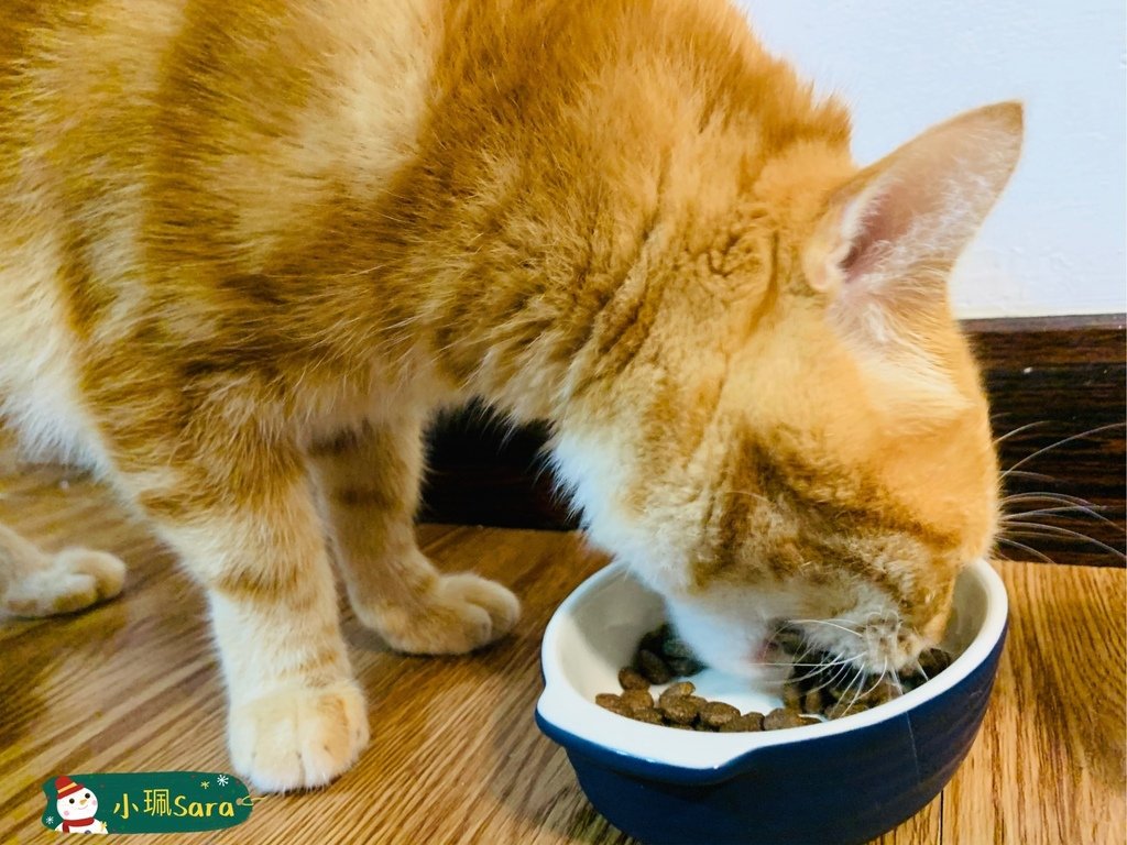 法米納飼料_201222_5.jpg