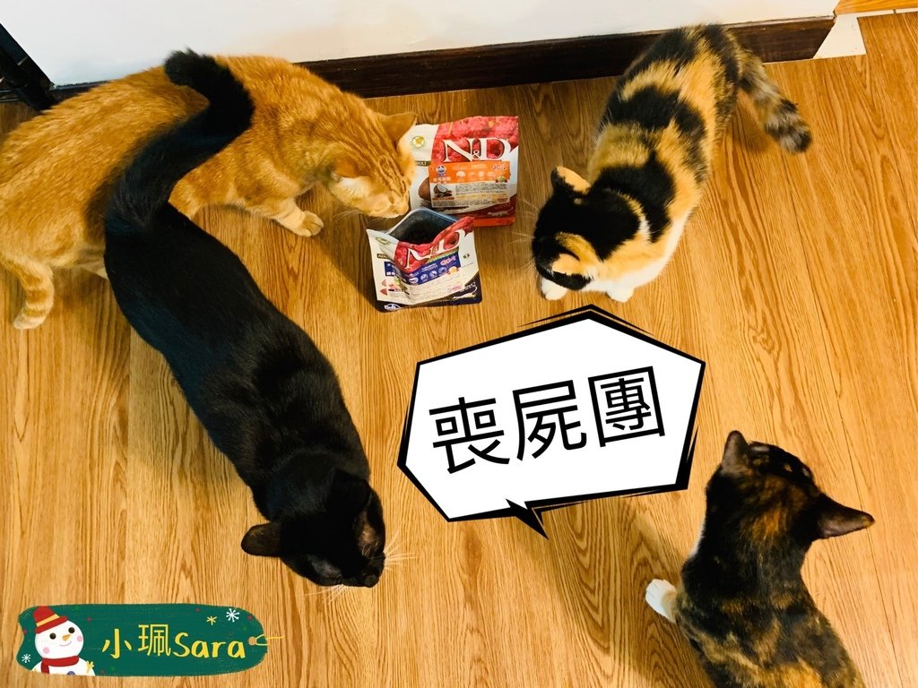 法米納飼料_201222_6.jpg
