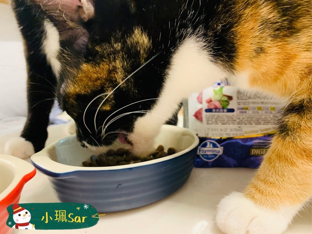 法米納飼料_201222_9.jpg