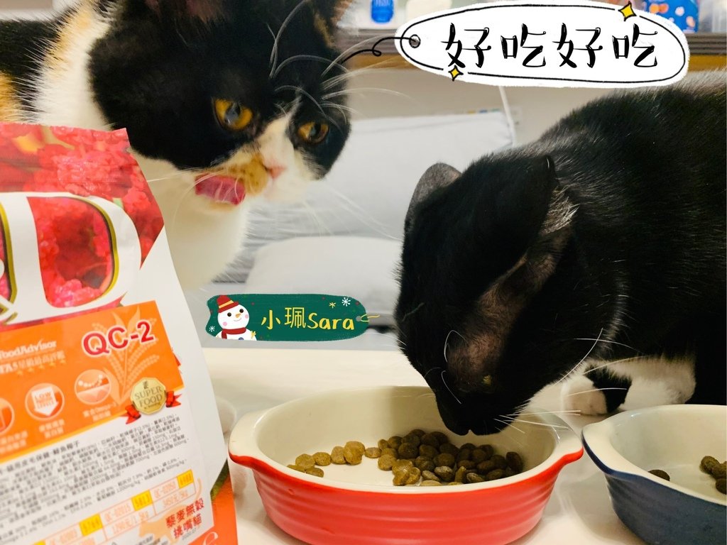 法米納飼料_201222_10.jpg