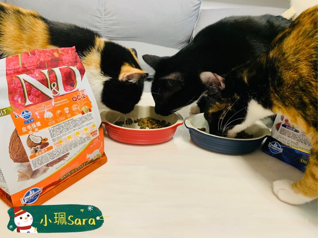 法米納飼料_201222_11.jpg