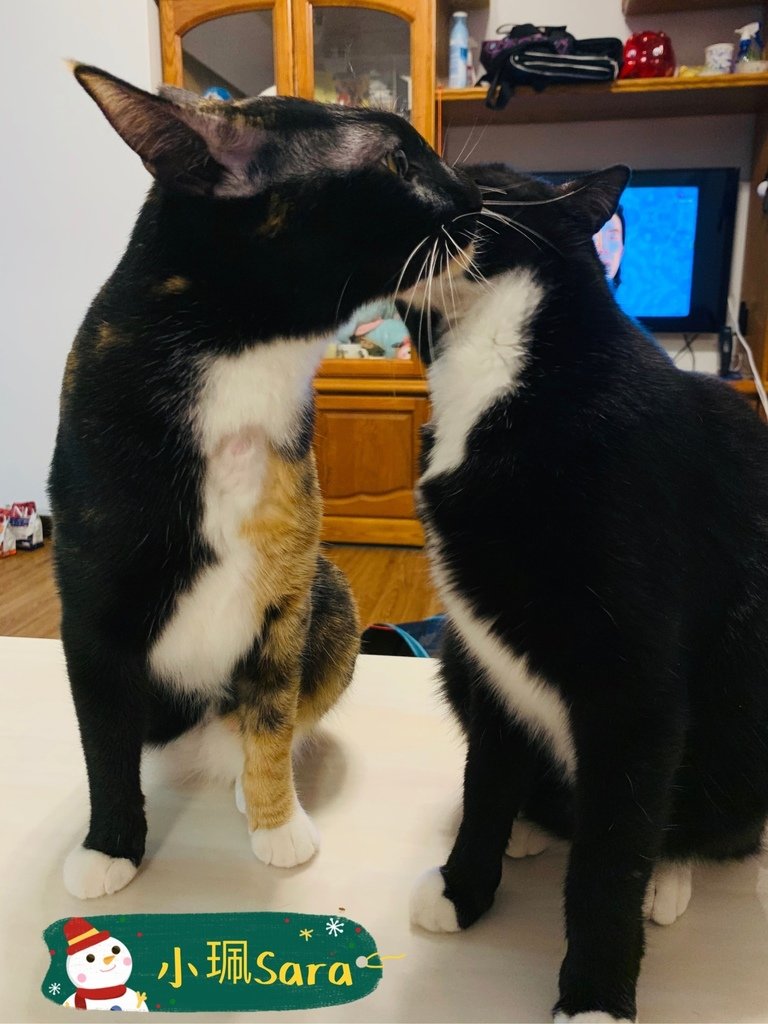 法米納飼料_201222_1.jpg