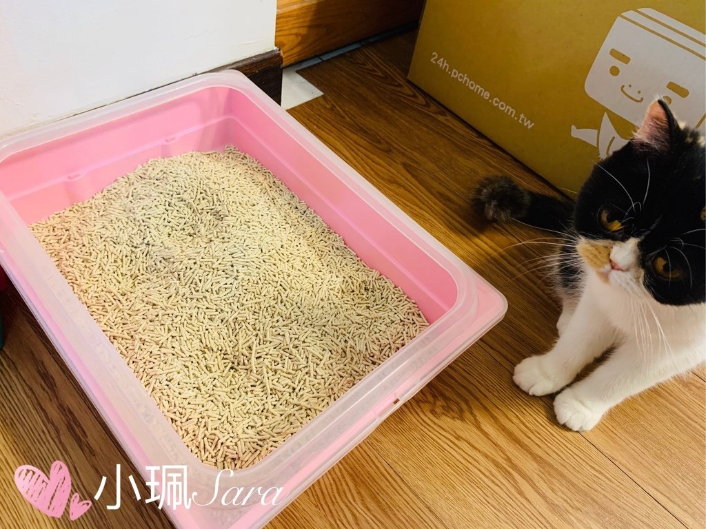 小怪獸豆腐砂_201229_7.jpg
