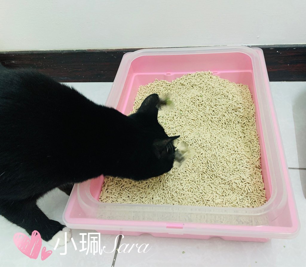 小怪獸豆腐砂_201229_8.jpg