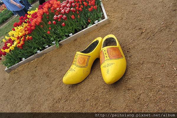 A pair of big yellow shoes!