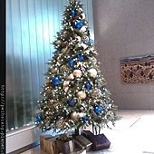 X&apos;mas Tree-1