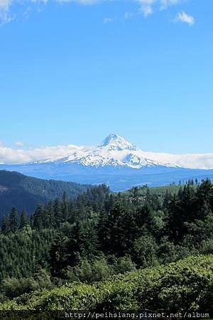 Mt. Hood