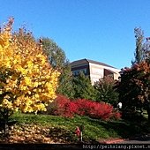 These are colors of autumn.