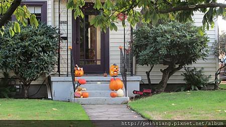 Prepare pumpkins for Halloween 