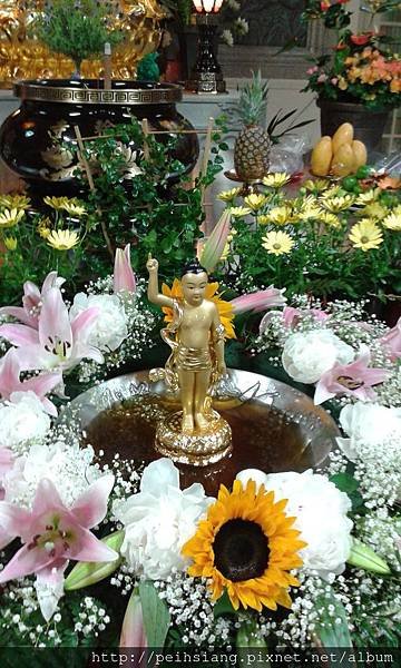 buddha&apos;s birthday