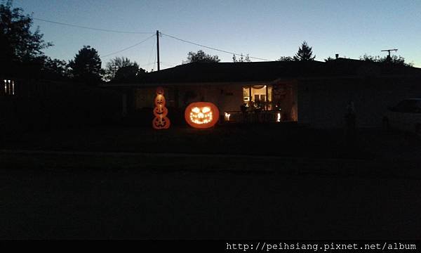 halloween pumpkins