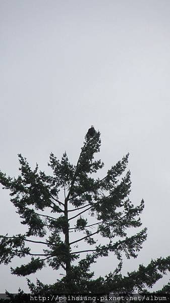 IMG_3079