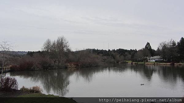 Peaceful lake