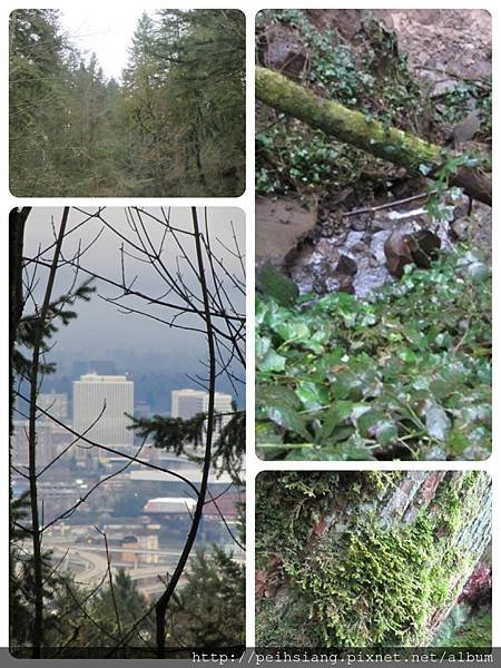 Urban Hikes in Portland