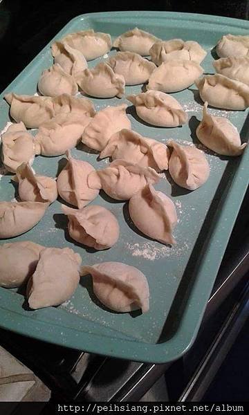 Home made Dumplings