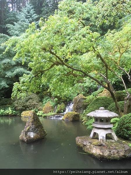 Portland Japaness Garden