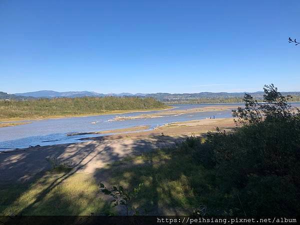 Sandy River Delta