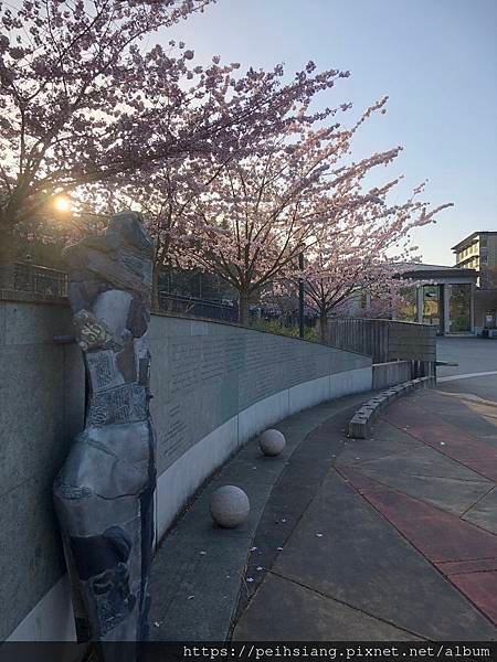 Spring term starts with flowers blooming