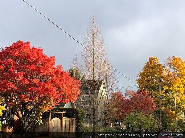 Peak Fall Foliage