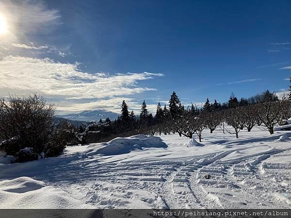 Severe Weather with lots Snow