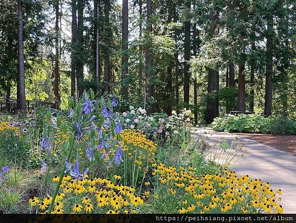 Leach Botanical Garden-Fall