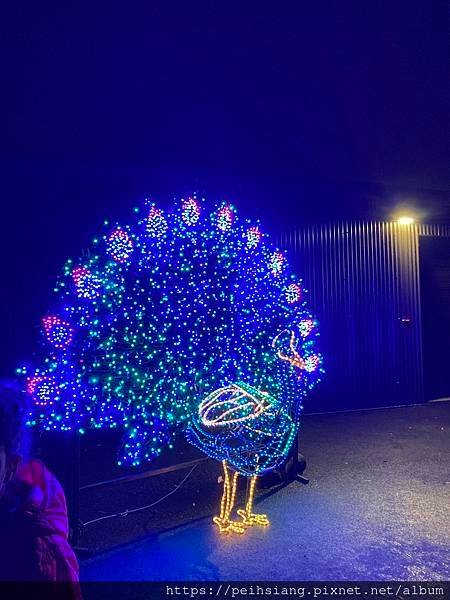 Oregon Zoo lights 2022