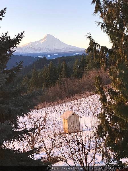 Morning sunshine made Mt. Hood so beautiful.