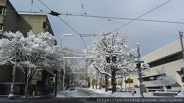 Late Winter Snow