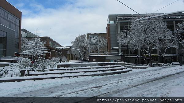 Late Winter Snow on Campus