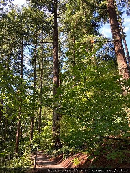 Leach Botanical Garden