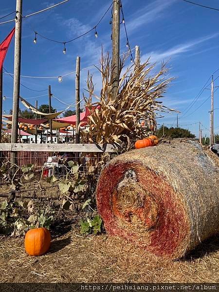 Yesteryear Farms