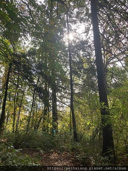 Tualatin Hills Nature Park