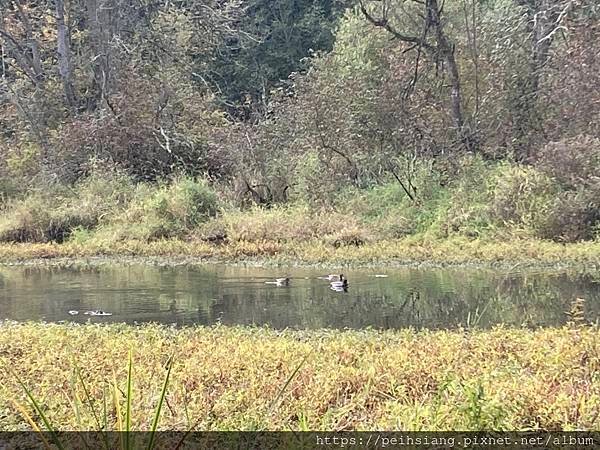 Tualatin Hills Nature Park