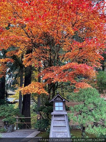 Portland Japanese Garden With 