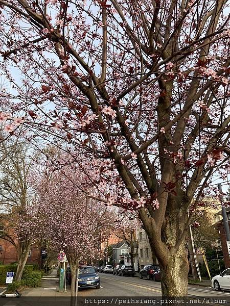 Spring is Here