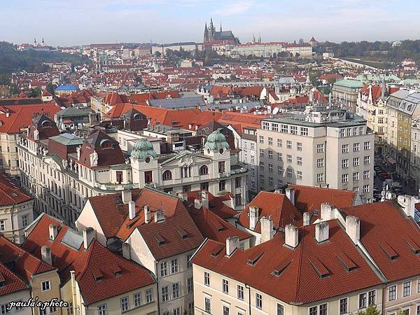 P1180141.JPG