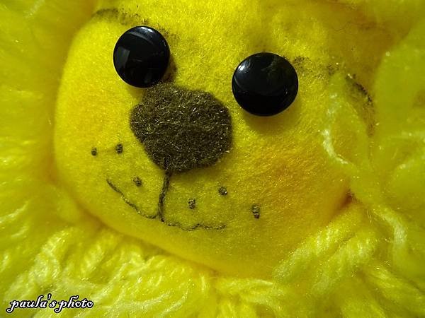 DSC00010.JPG