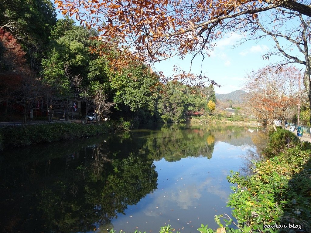 DSC05703.JPG