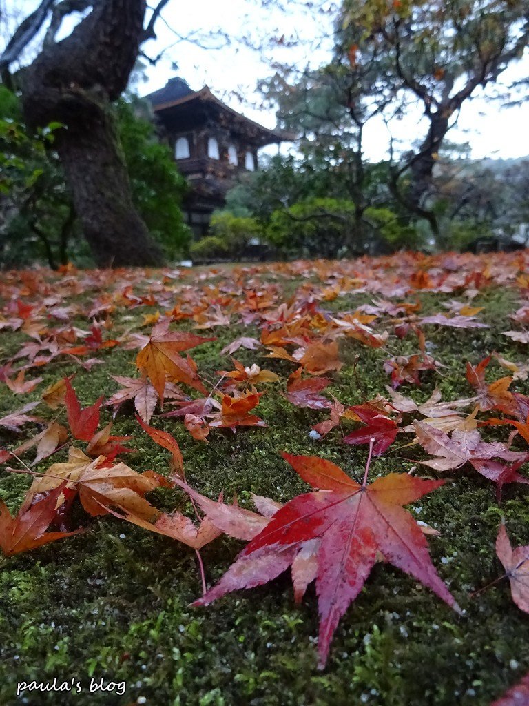 DSC06015.JPG