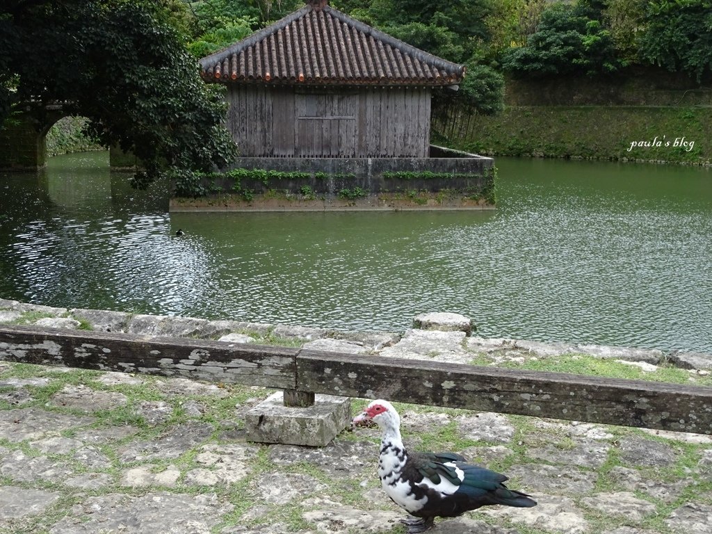 DSC04888.JPG