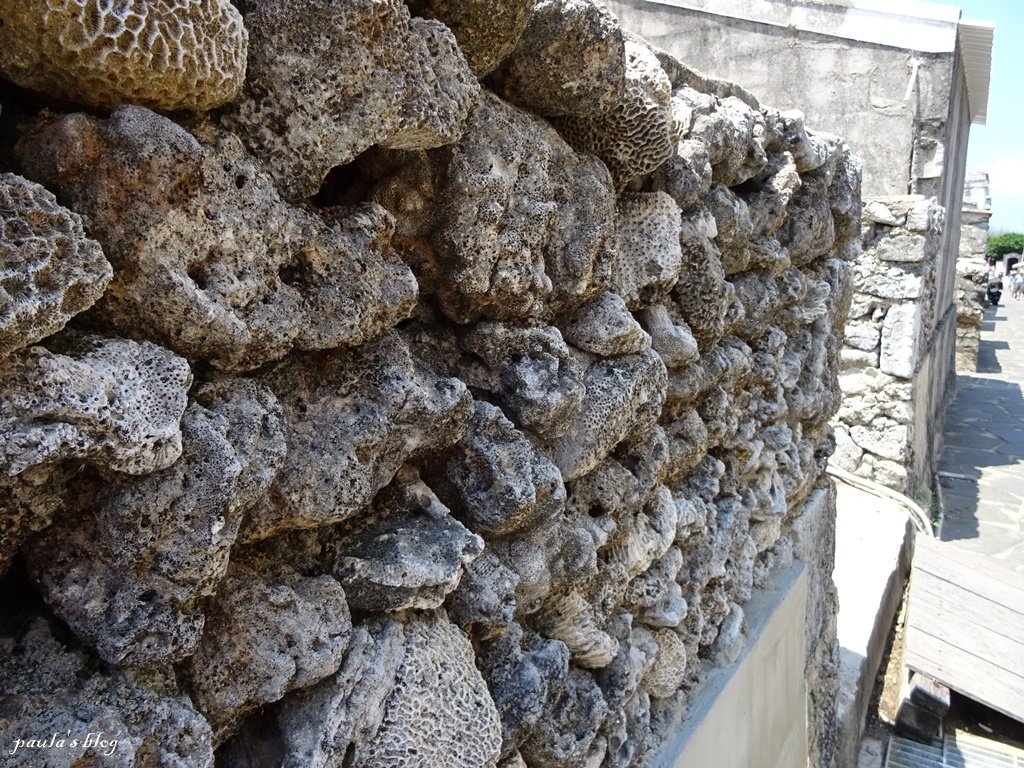 DSC08039.JPG