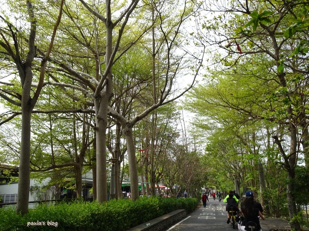 DSC09140.JPG