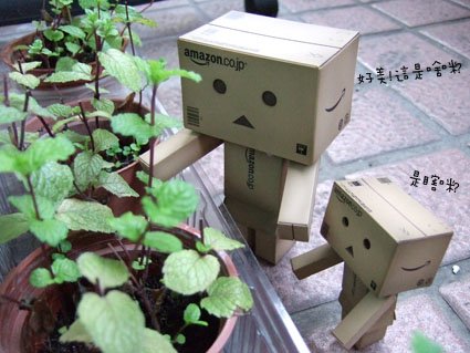 故事11.jpg