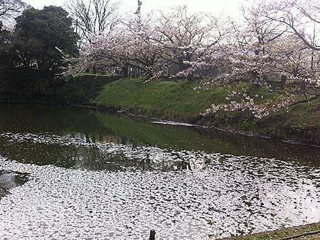 舞鶴公園
