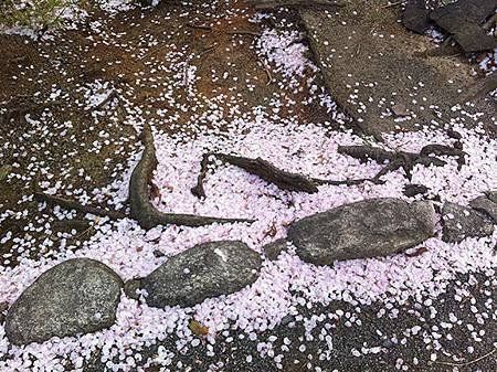 舞鶴公園