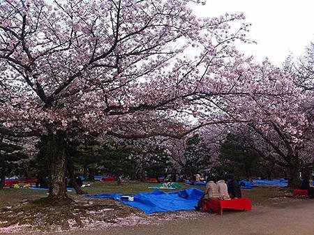 舞鶴公園