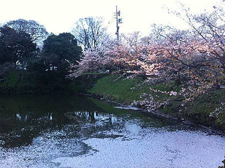 舞鶴公園